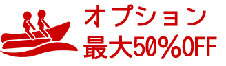 オプション最大50％OFF