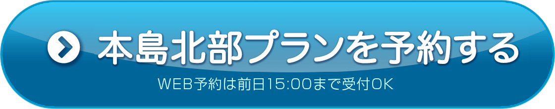 瀬底島プランを予約する
