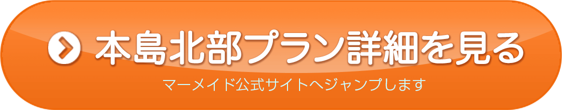 瀬底島プラン詳細を見る