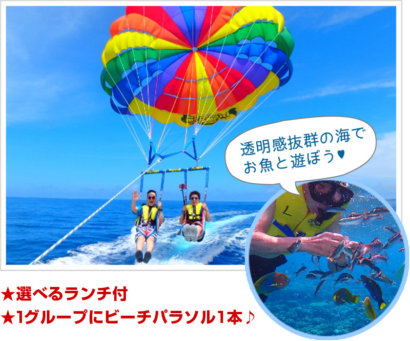 透明感抜群の海でお魚と遊ぼう♪