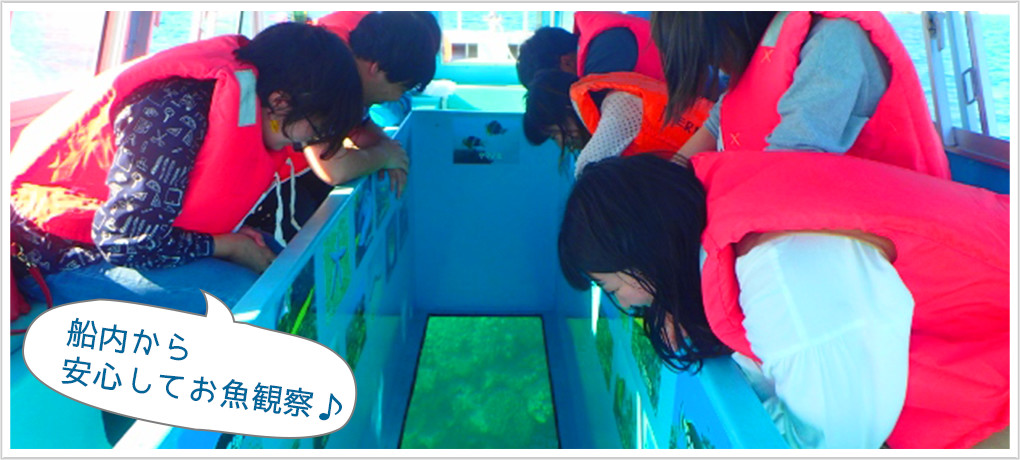 船内から安心してお魚観察♪