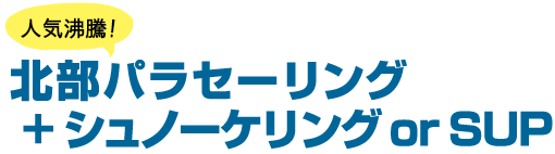 【人気沸騰！】北部パラセーリング ＋ シュノーケリング or SUP